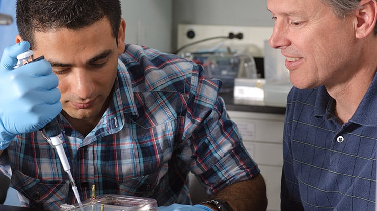 A genetics major wears gloves and works in a lab, with close oversight by a professor.