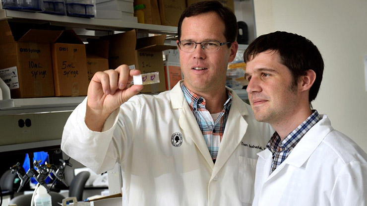 A professor and a human biology major work in a lab together wearing white lab coats.
