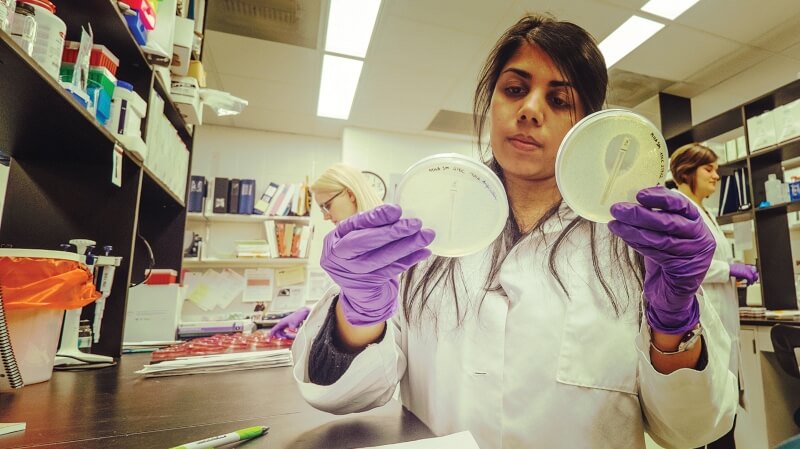 Lyman Briggs majors wearing white lab coats and gloves use lab equipment.