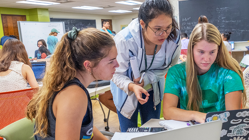 Students work together on a laptop during a classroom activity, showing collaborative learning in a math education degree.