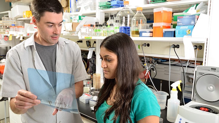 A professor explains a microbiology concept to a student working on a microbiology degree.