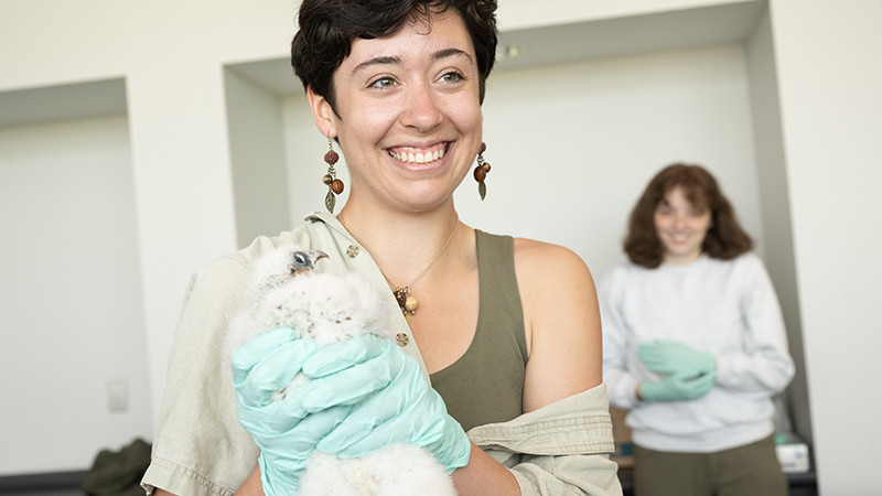 Student holds a small bird during a hands-on lab activity, building field and care skills in a wildlife management degree.