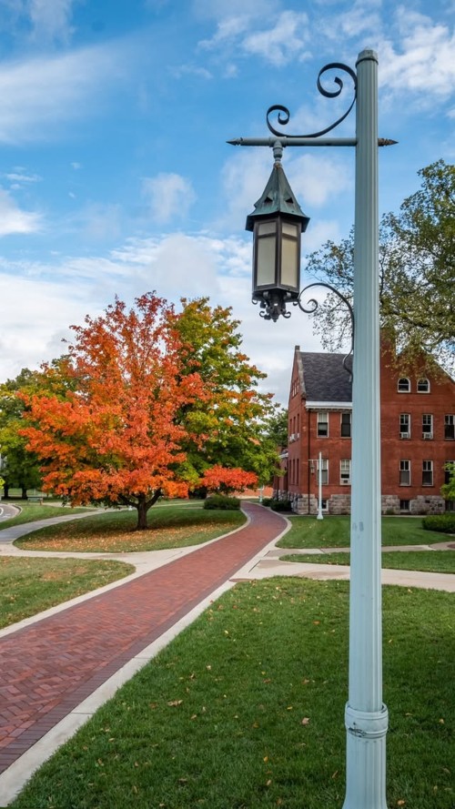 Thumbnail: Historic campus lamppost beside a brick path with a bright orange fall tree and campus building.