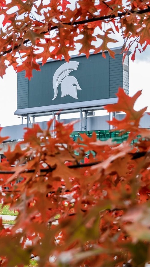 Thumbnail: Spartan Stadium scoreboard with helmet logo, seen through out-of-focus orange autumn leaves.