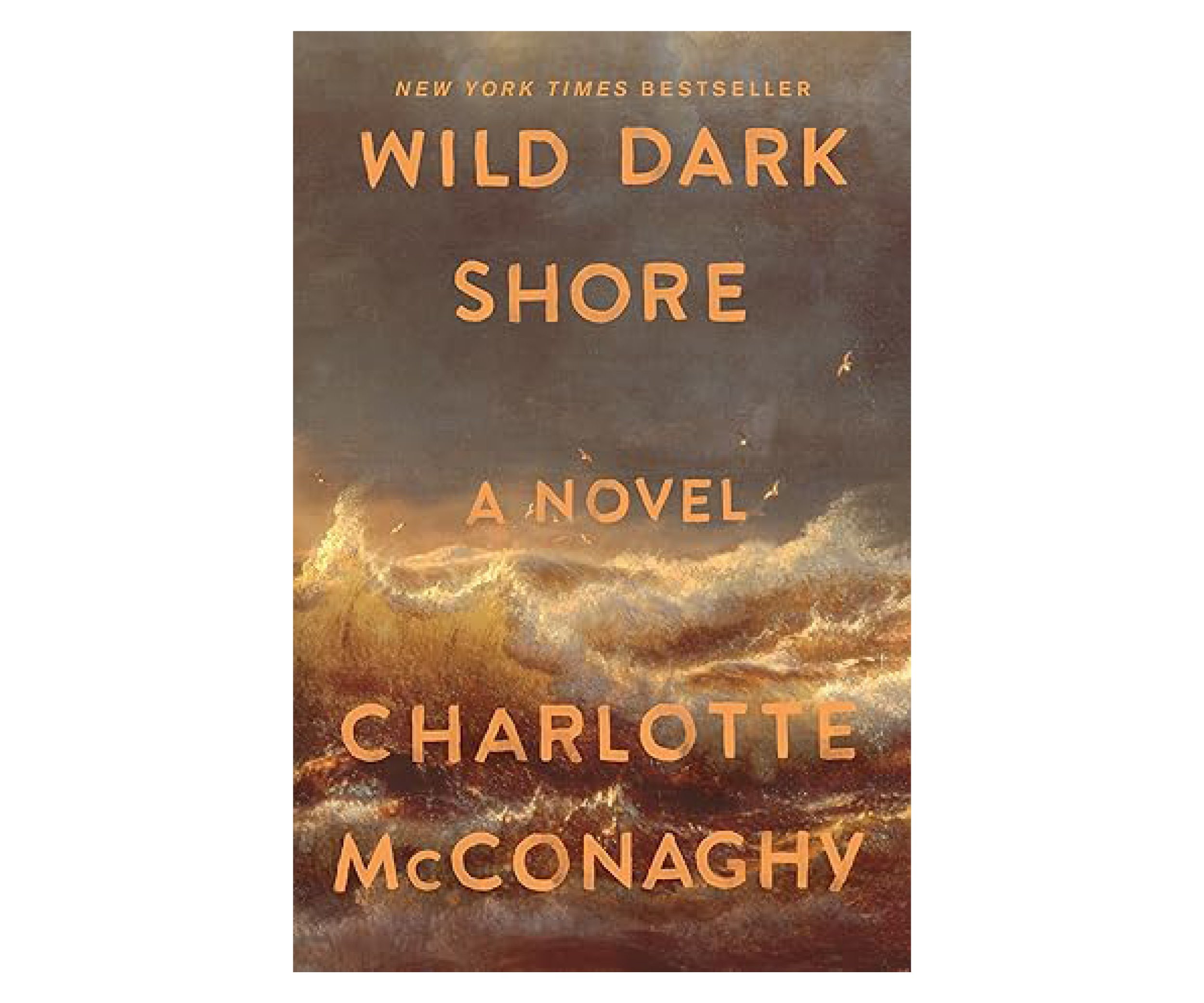 sbc-wild-dark-shore-300x250