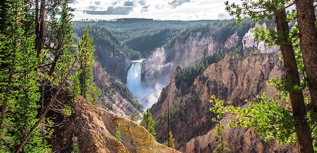 Lower Falls of the Yellowstone River plunges into the Grand Canyon of the Yellowstone, framed by pine trees and steep, colorful canyon walls. Mist rises from the powerful waterfall as it flows through the dramatic landscape under a partly cloudy sky.
