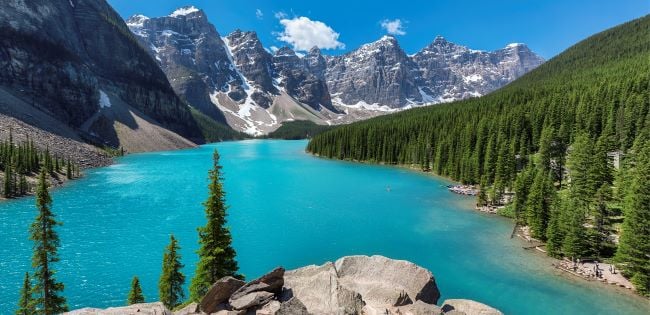 View of Moraine Lake’s turquoise waters surrounded by pine trees and rugged peaks in the Canadian Rockies, under a clear blue sky.