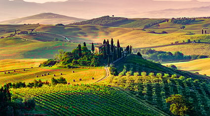 Rolling hills and vineyards in Tuscany, Italy, with cypress trees leading to a rustic farmhouse at the center of the golden landscape.
