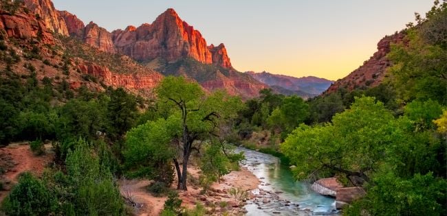Sunset view of Zion National Park with the Virgin River winding through lush greenery beneath glowing red rock cliffs.