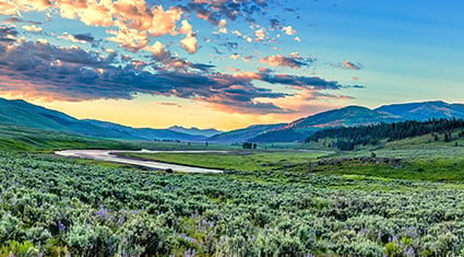 A scenic view of the Lamar Valley in Yellowstone at sunset, with sagebrush meadows, winding rivers, and distant mountain ridges.