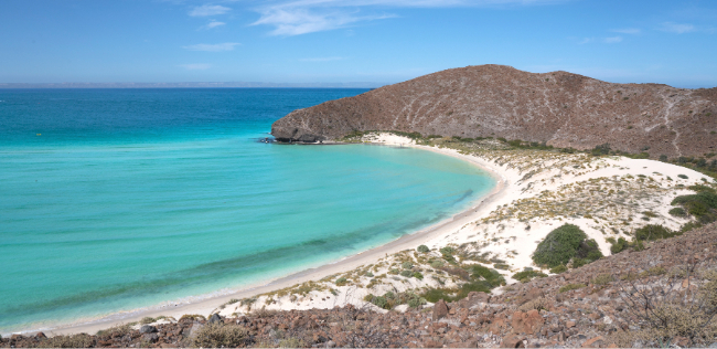 Turquoise bay and white sand beach along the rugged desert coastline of Baja California, Mexico.