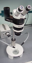 Microscope