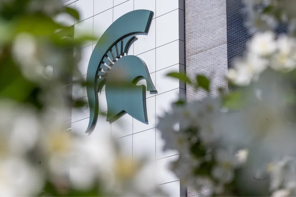 65314f9c4cc118548b1c9c57_msu-helmet