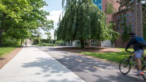 Individual bikes on MSU's campus