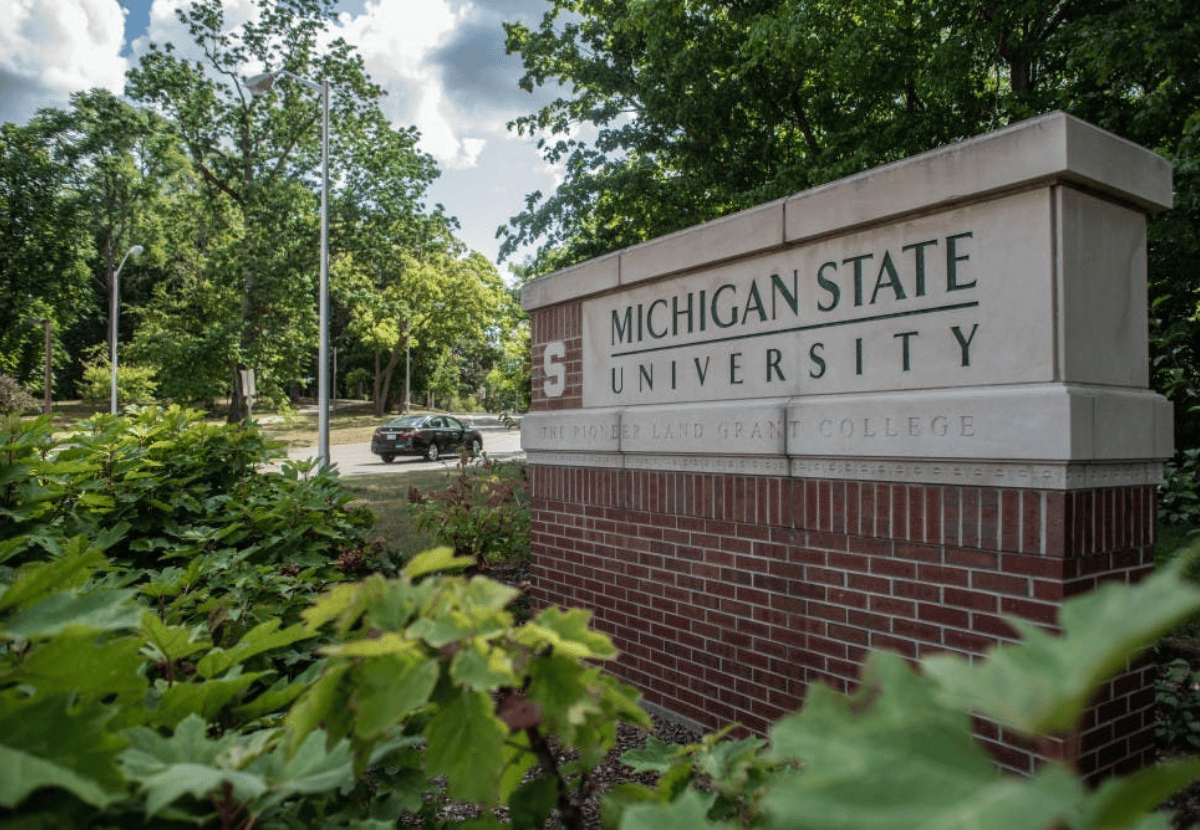 Brick MSU sign with greenery around it. 
