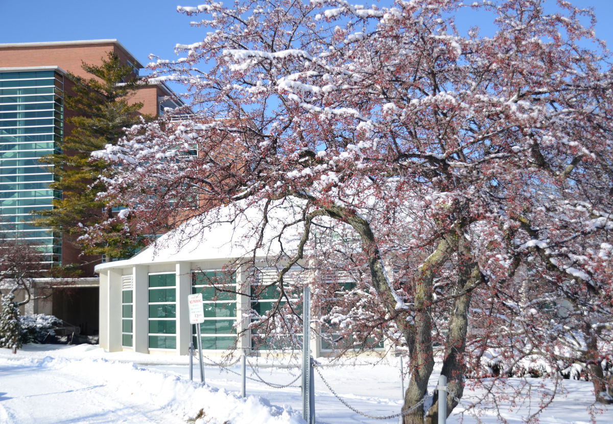 The Erickson Hall KIVA covered in snow with a snowy tree in front of it