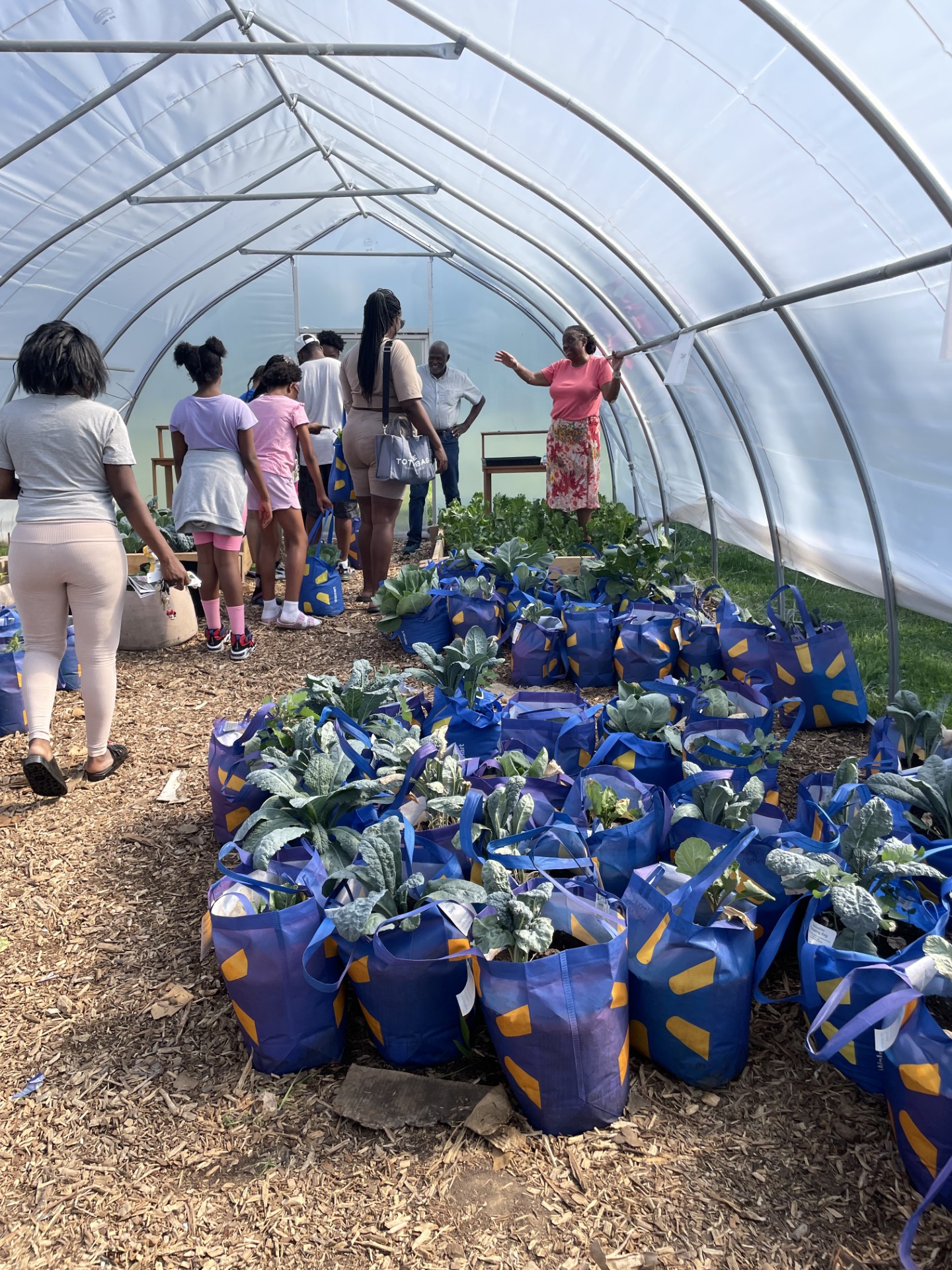 A group of students and educators walk through a greenhouse, observing their surroundings. 