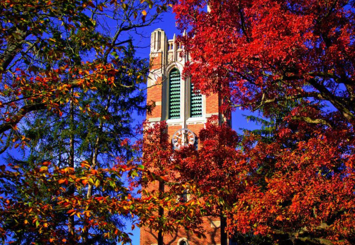 Red and orange fall trees in front of MSU's Beaumont Tower