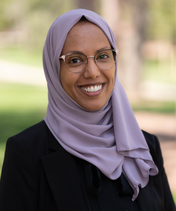 aladeimi-shireen-aside-600x717