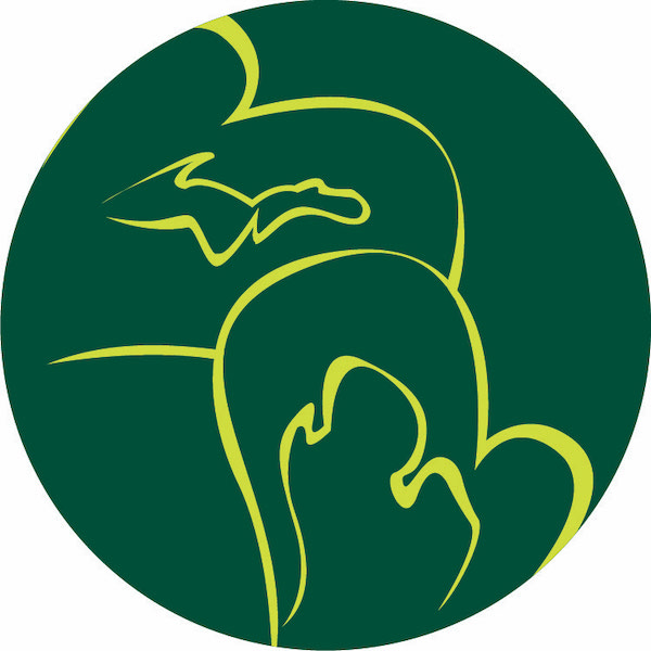 MITTENSS Logo; the state of Michigan and a light outline of a pair of mittens overtop in lime green on a circular dark green background.