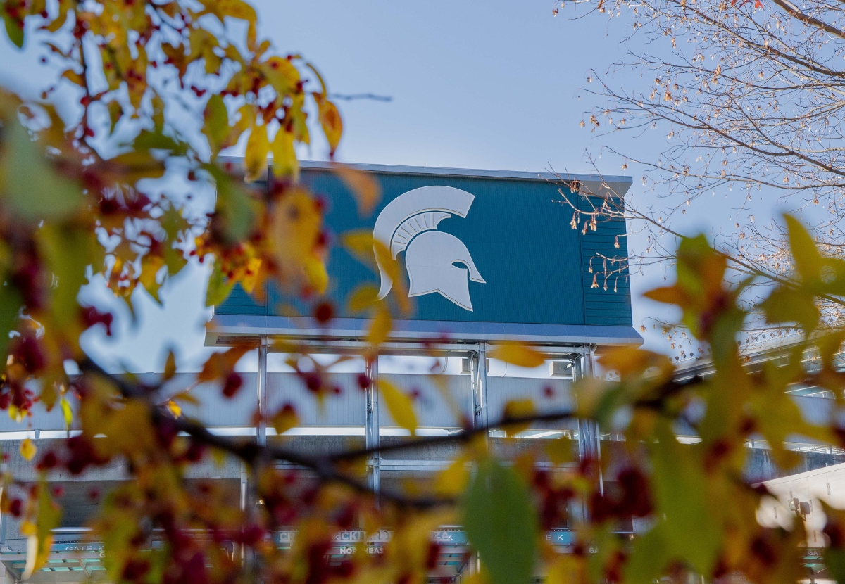MSU Stadium sign behind fall tree branches