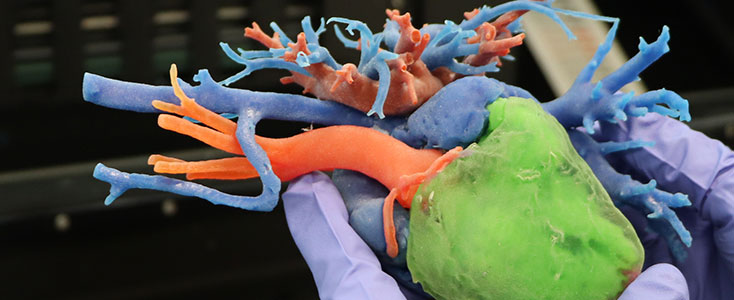 close up of hands holding a 3D printed heart that are the colors green, orange and blue.