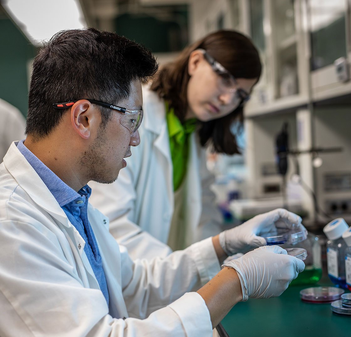 MSU students looking a petri dish in the labs