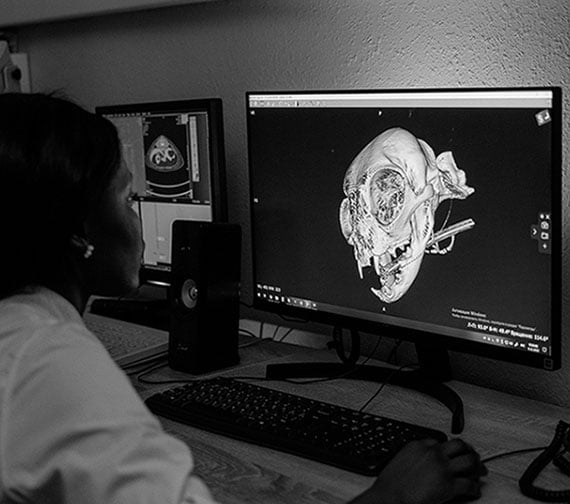 Black and white photo of a student focused on a computer screen while working with bio 3D modeling software.