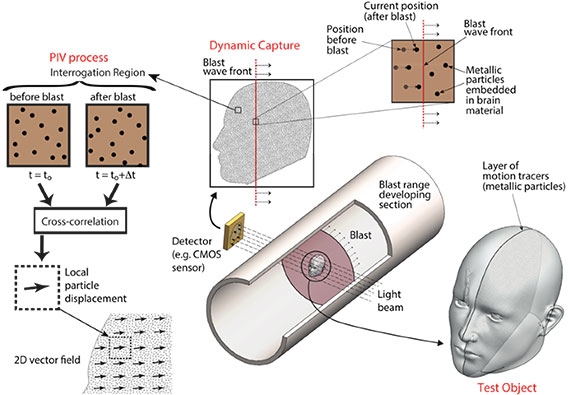 Dynamic measurement with Ultra-high-speed imaging while the blast wave is crossing the test object.
