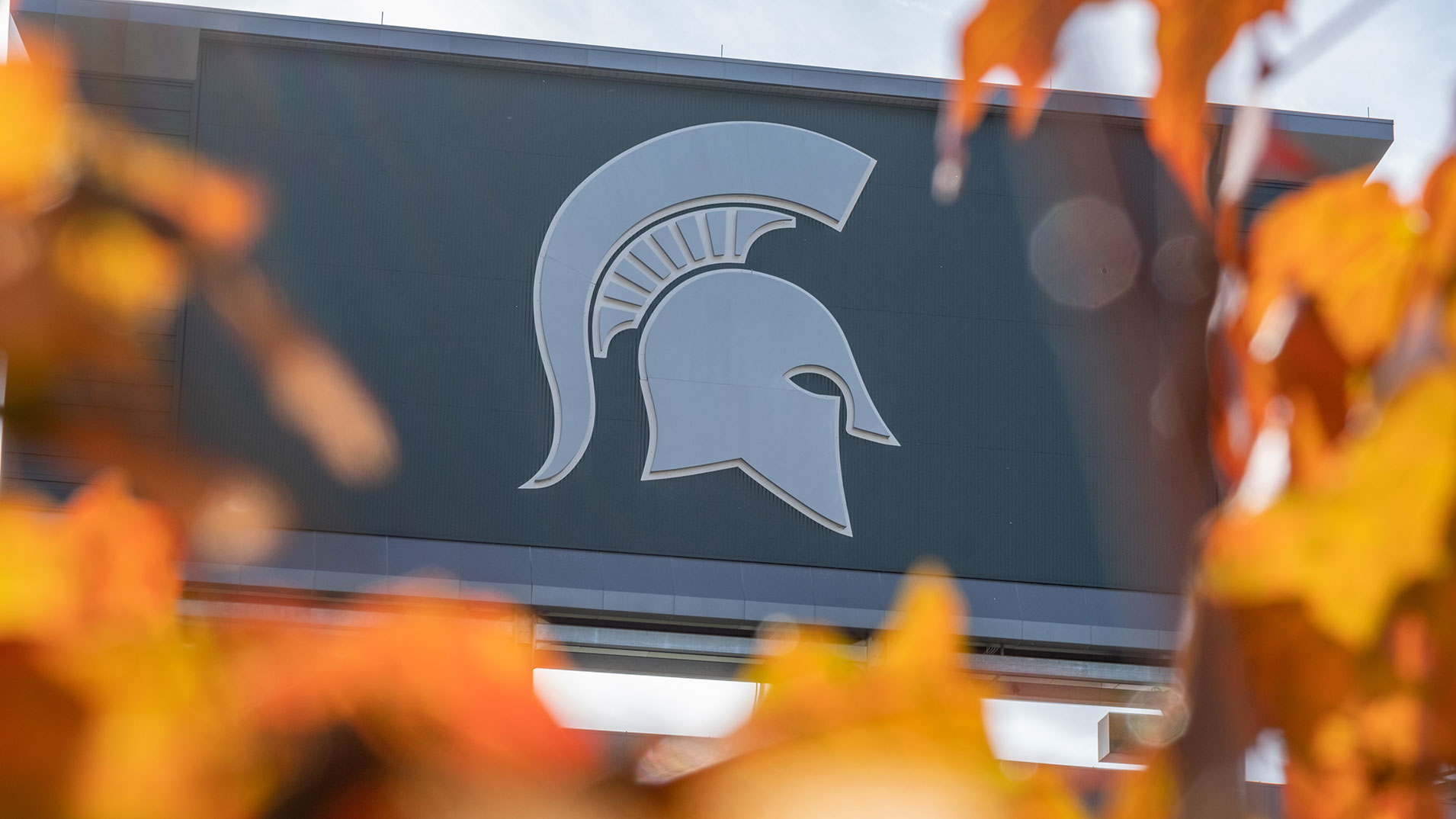 MSU image, stadium