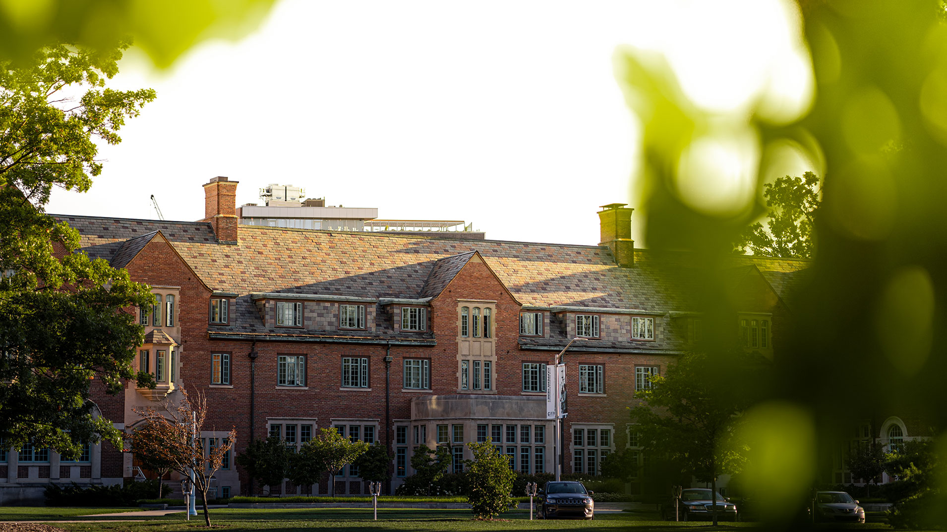 Building peaking between the trees