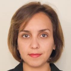 Professional headshot of Bahare Kumarsi