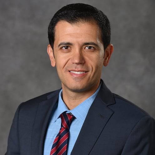 Professional Headshot of Ehsan Ghane