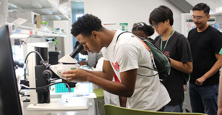 Students looking through microscopes in a lab during the summer program