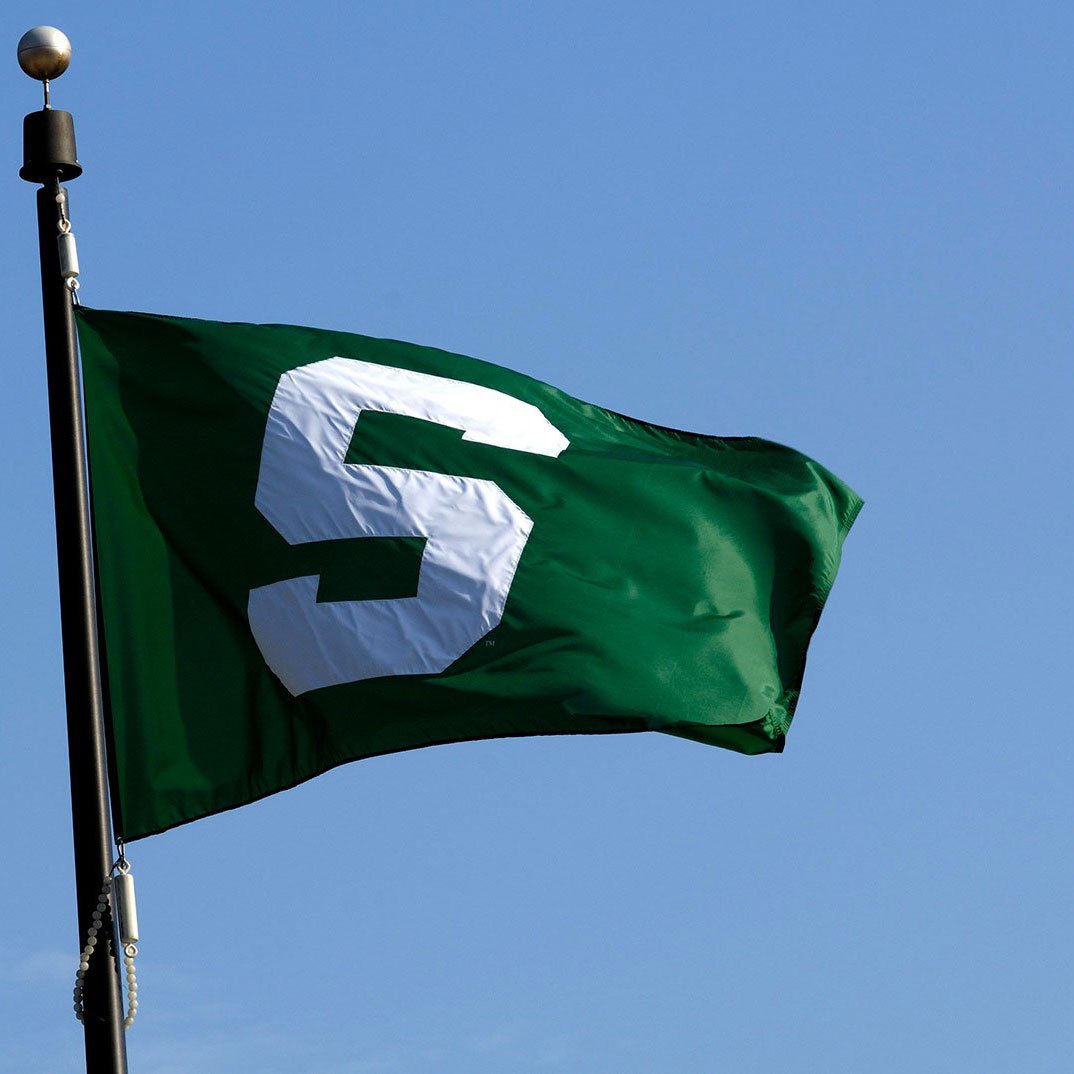 Spartan flag