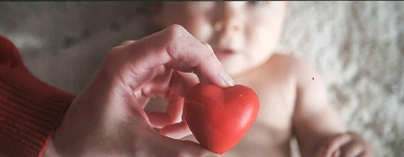 MSU biomedical engineers are working to improve the heart health of babies.