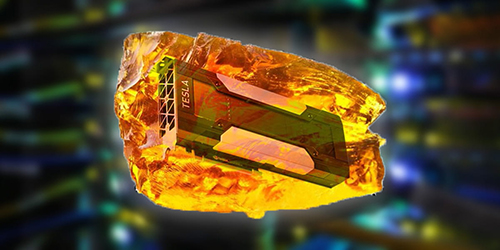 A future preserved in Amber