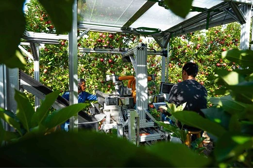 A robotic apple picker is shown in practice at an apple orchard.