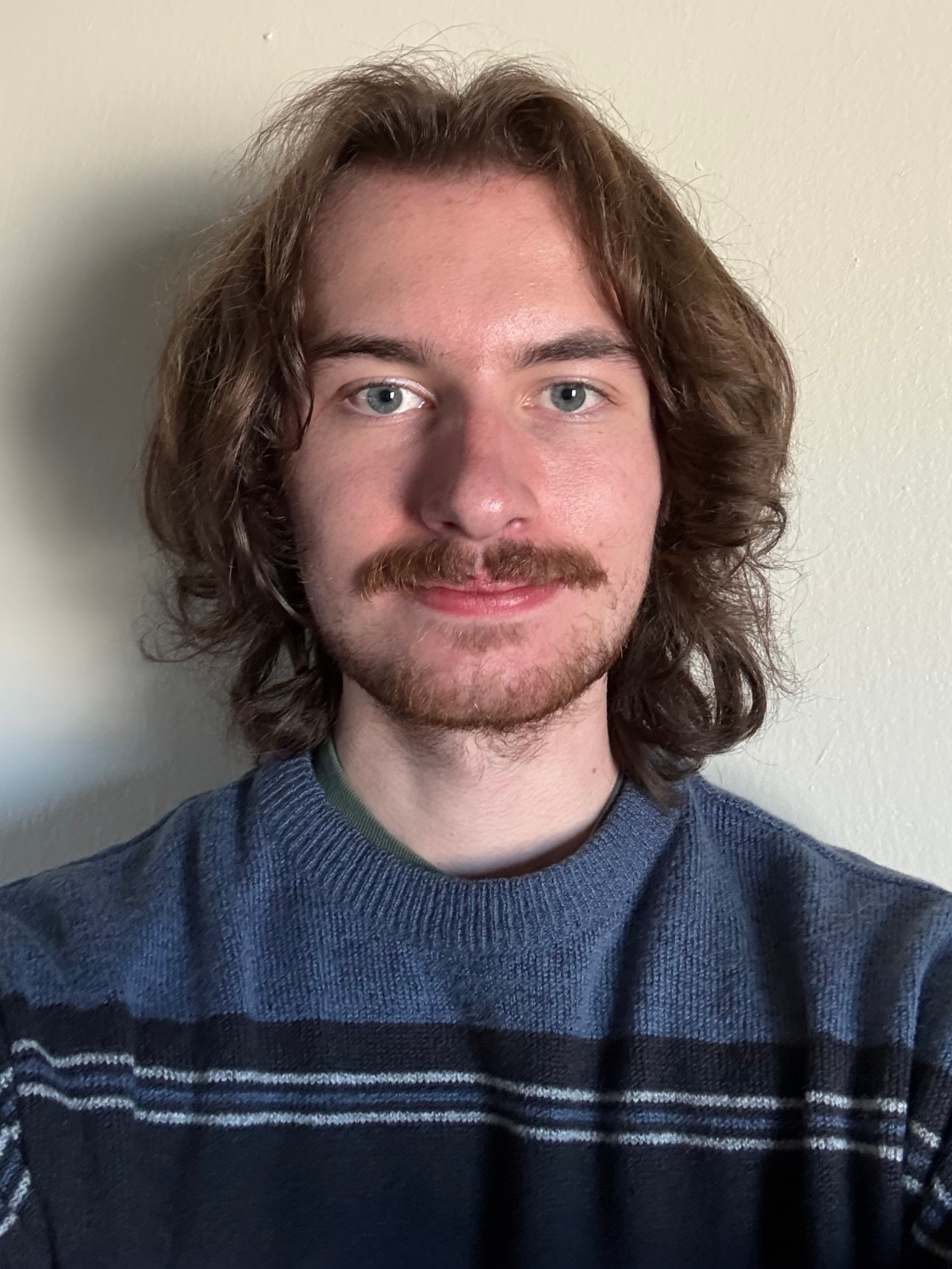 Individual with brown hair and a mustache, wearing a blue sweater, in front of a white background.