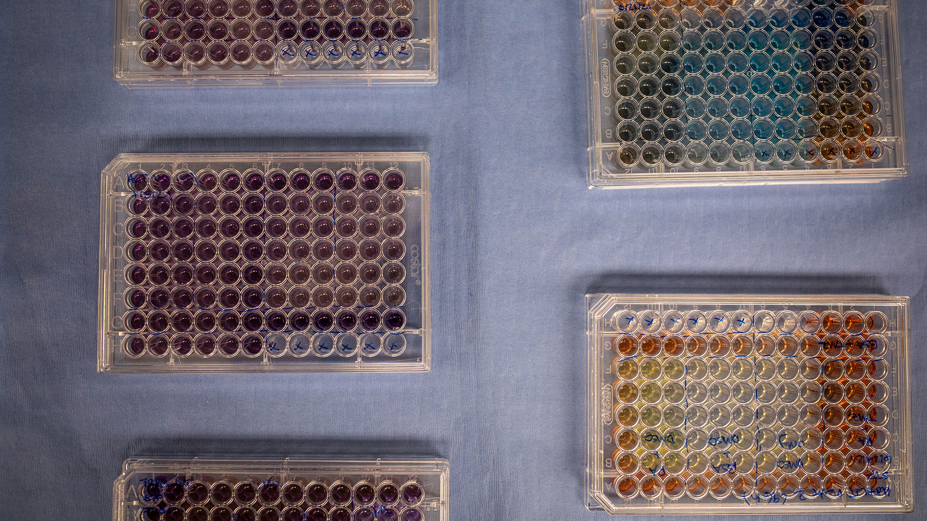research lab image