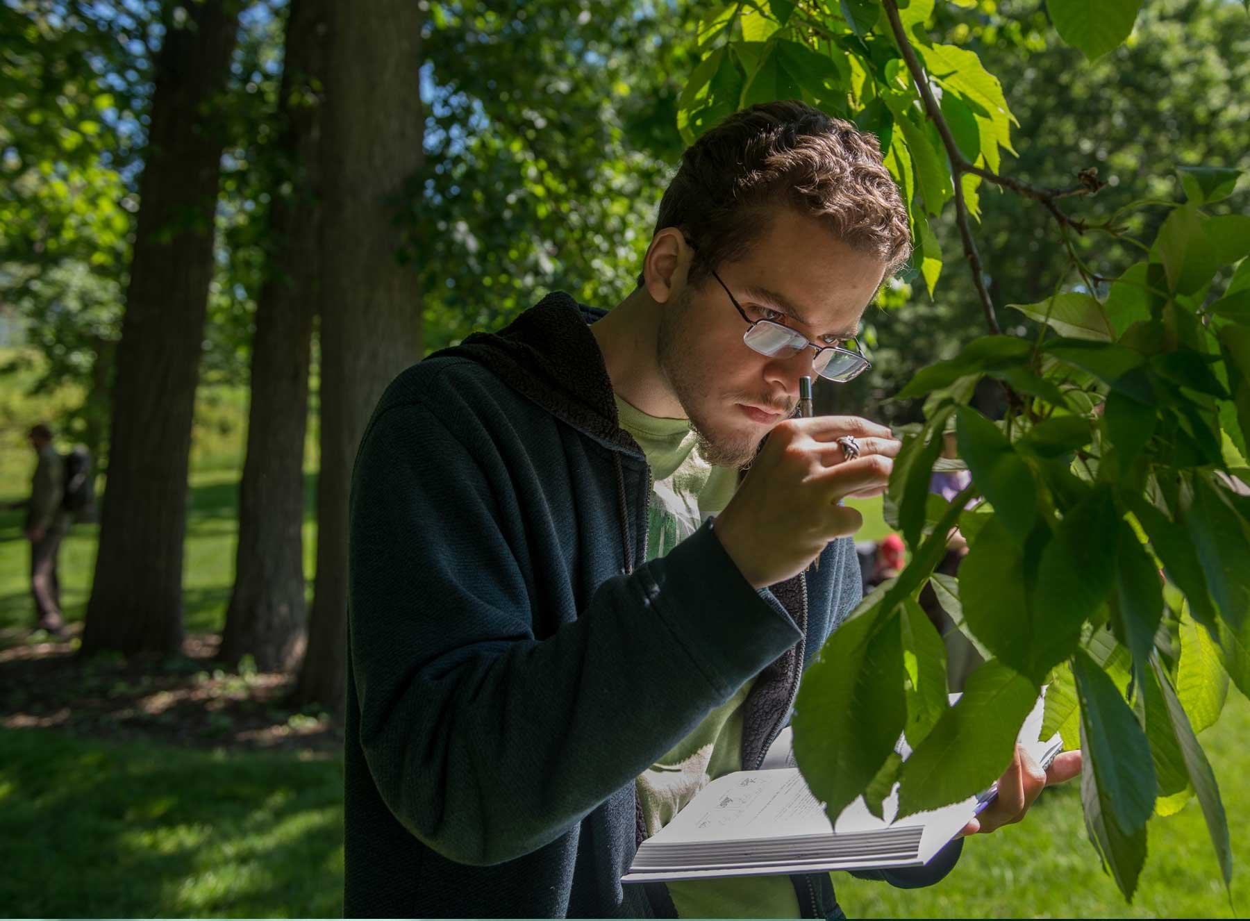 MSU graduate student studying a plant