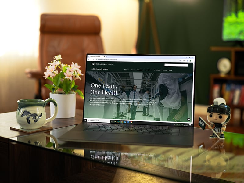 Laptop on desk showing MSUwebpage, next to a plant, mug, and Spartan figurine.