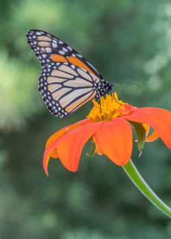 Earth Month Landing Page Impact Story Grid Image
