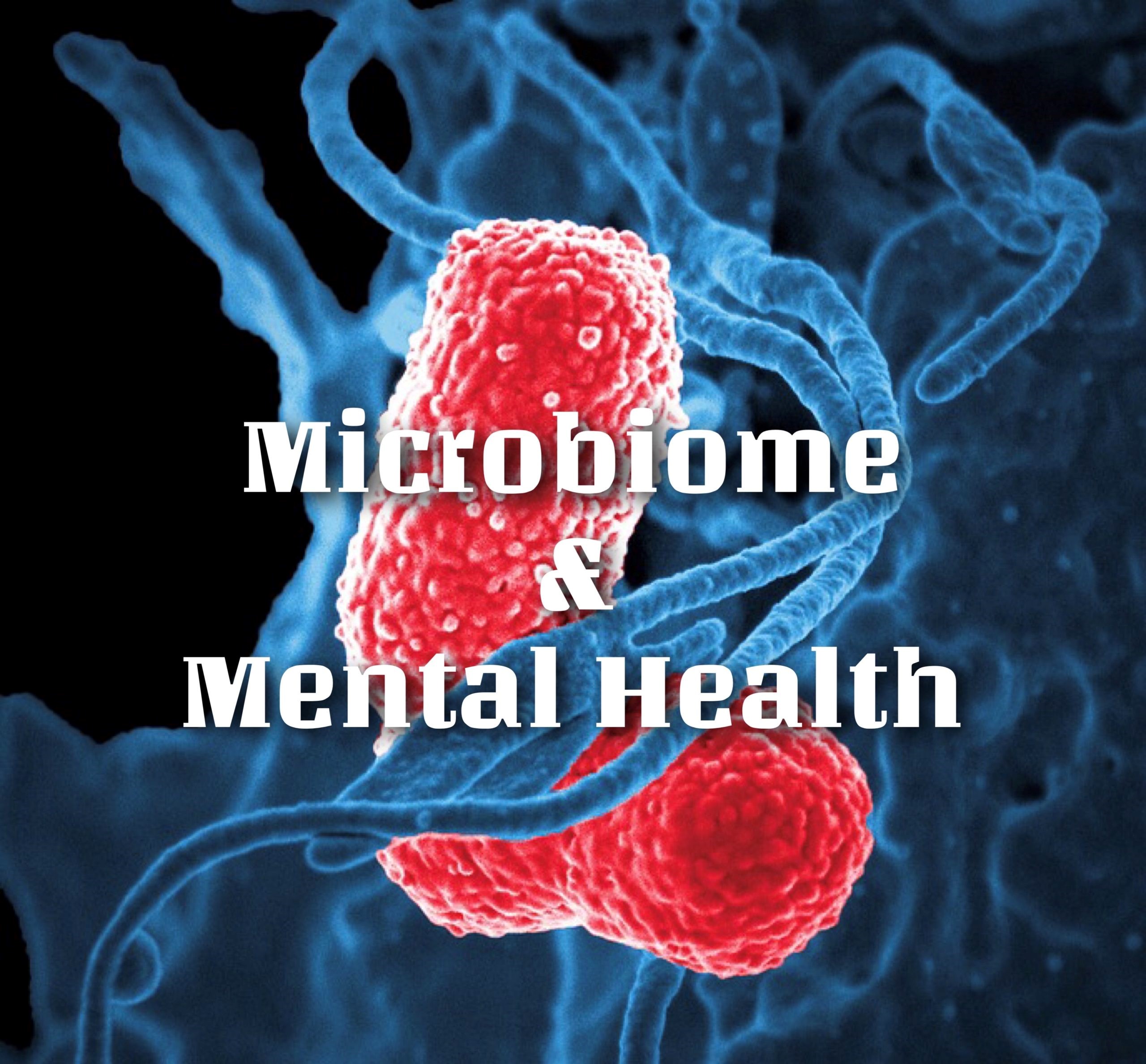 Image of a gut with an organism, as seen through a microscope.