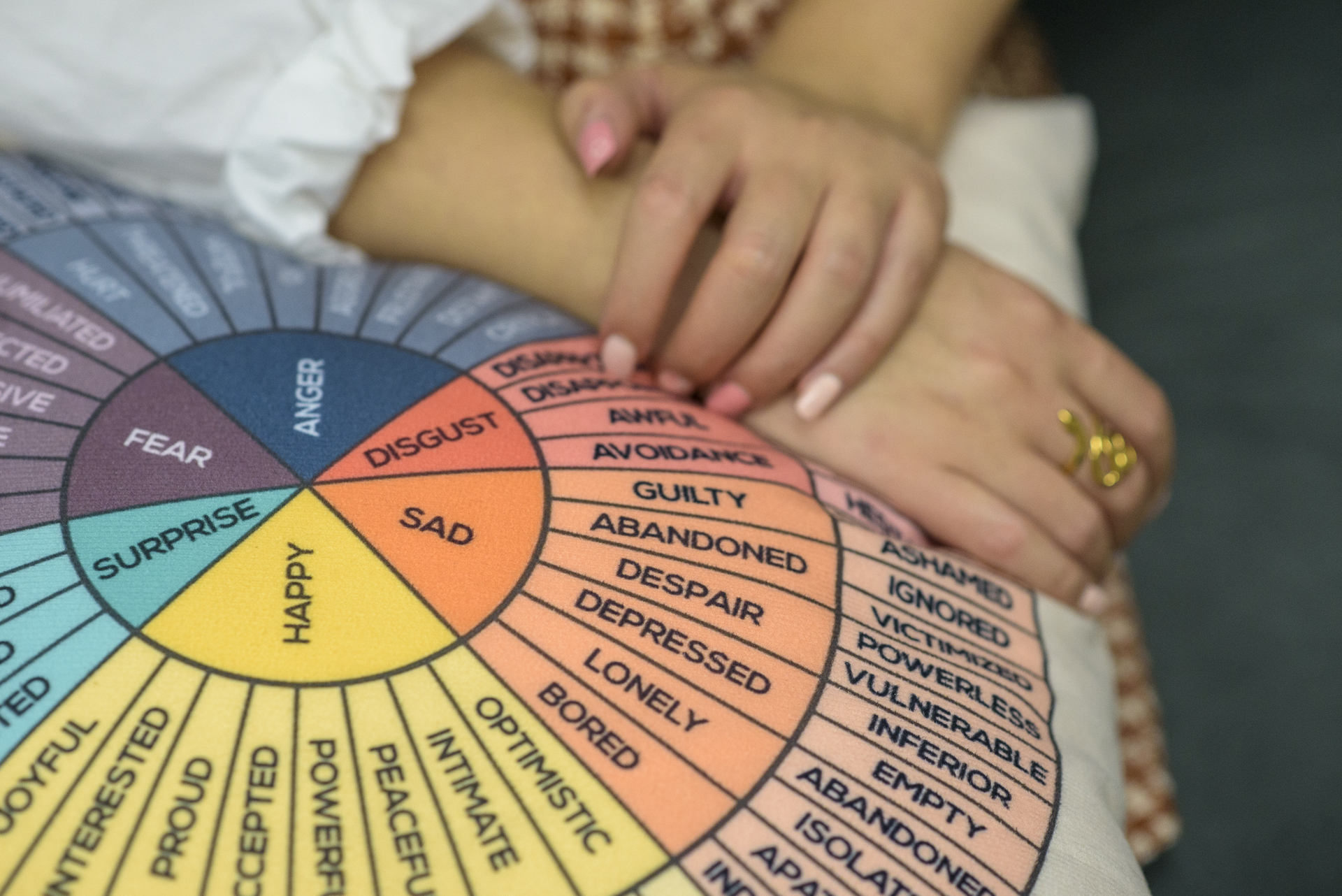 Hands resting on a feelings wheel pillow.
