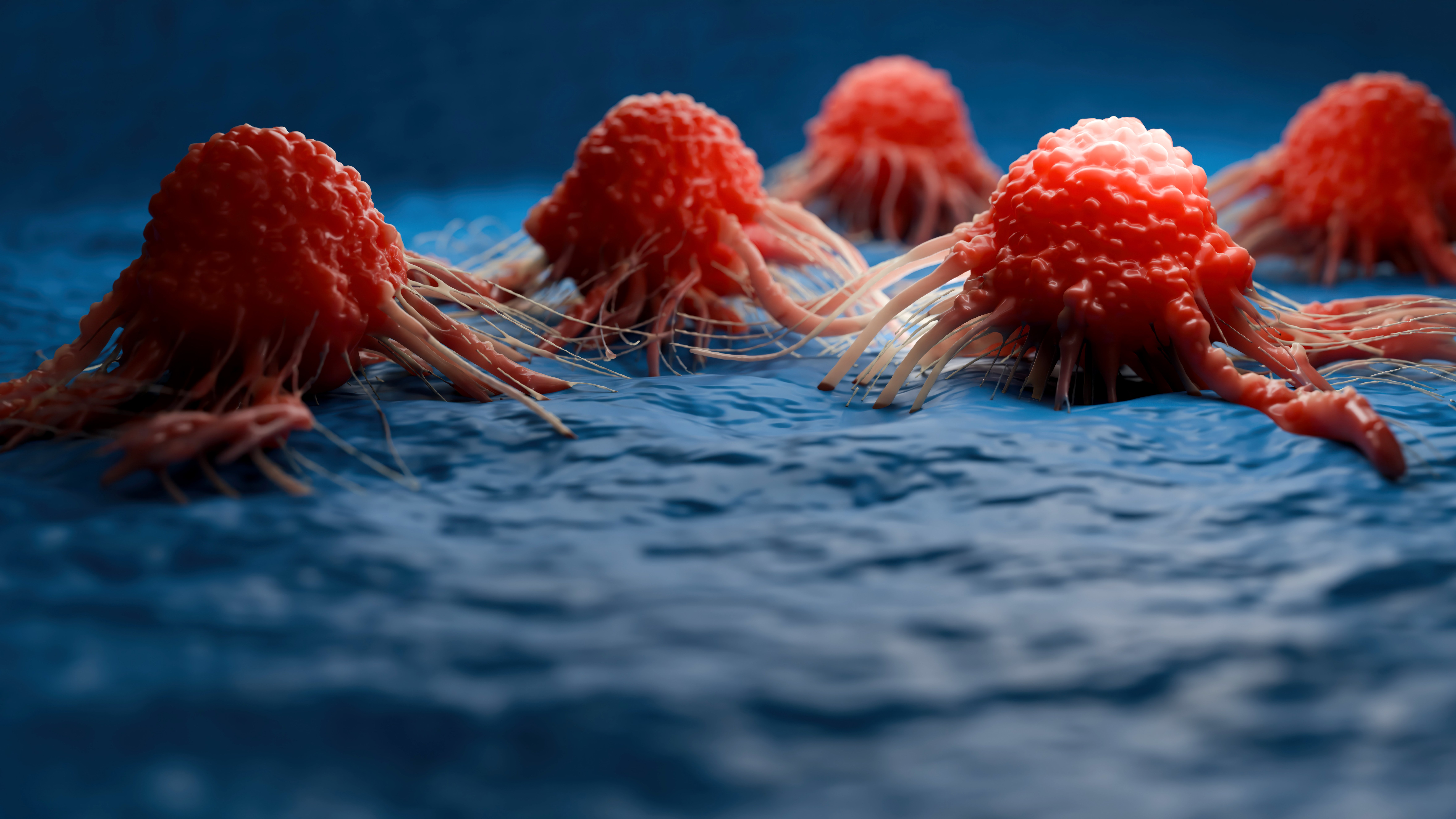 cancer-GettyImages-2151333984