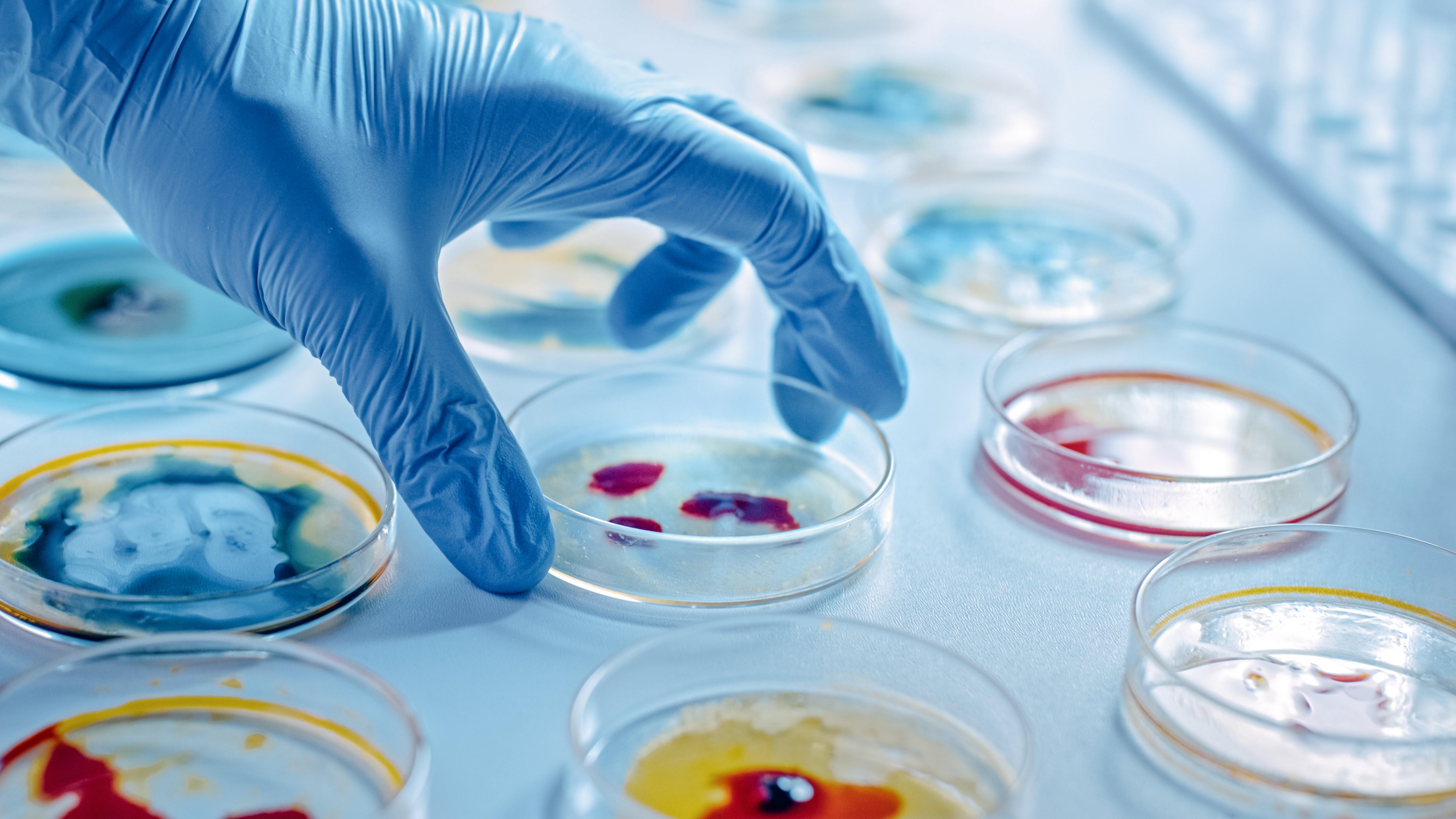 Cancer-Symposium-GettyImages-1212392757