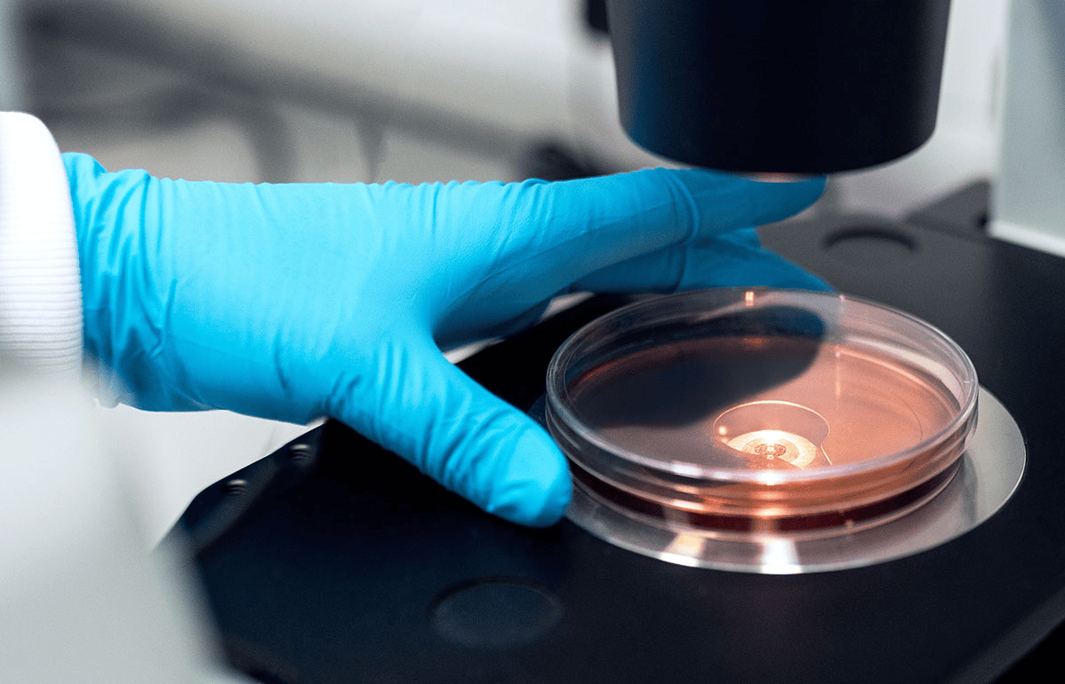 A blue gloved hand working a microscope.