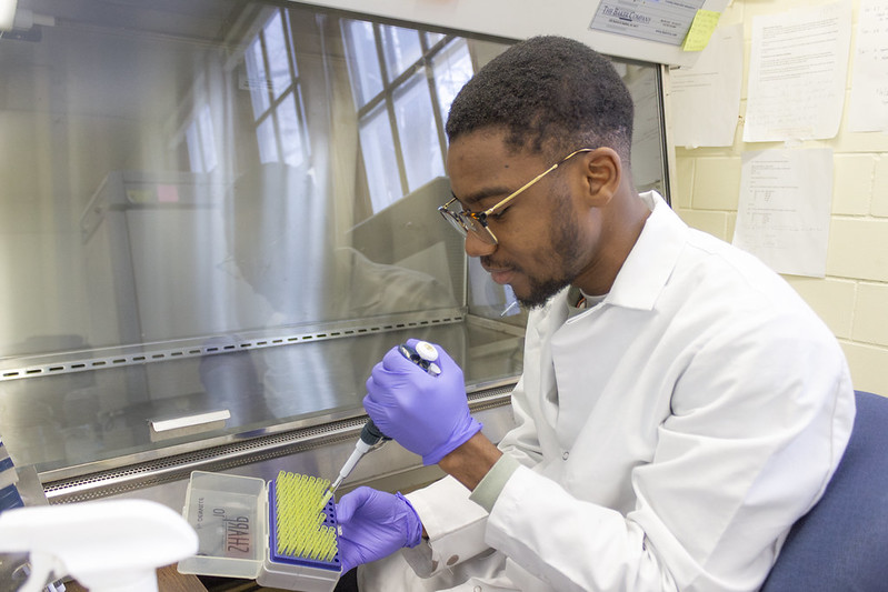 Benjamin Nketsiah working with samples in the lab