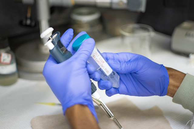 Nketsiah holding samples in the lab. 